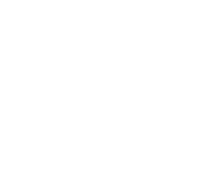 Vector